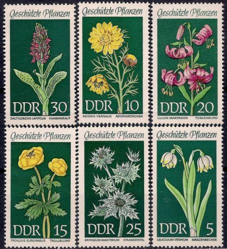 Potovn znmky DDR 1969 Chrnn rostliny Mi# 1456-61
