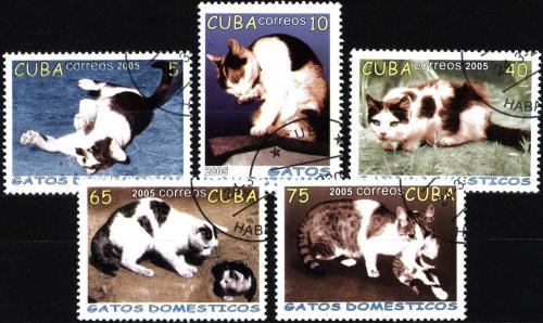 Potovn znmky Kuba 2005 Domc koky Mi# 4700-04