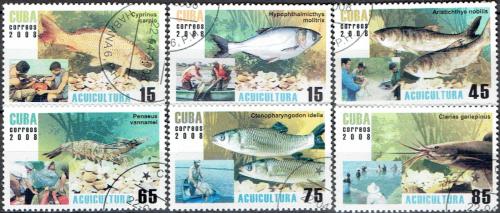 Potovn znmky Kuba 2008 Vodn fauna Mi# 5049-54 Kat 6