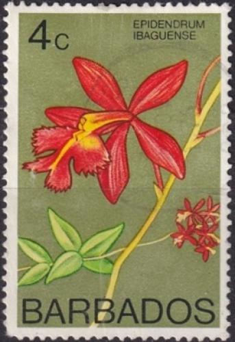 Potovn znmka Barbados 1974 Epidendrum ibaguense Mi# 368 X