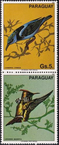 Potovn znmka Paraguay 1983 Ptci Mi# 3574