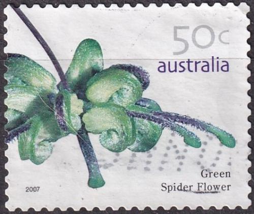 Potovn znmka Austrlie 2007 Gossypium sturtianum Mii# 2775