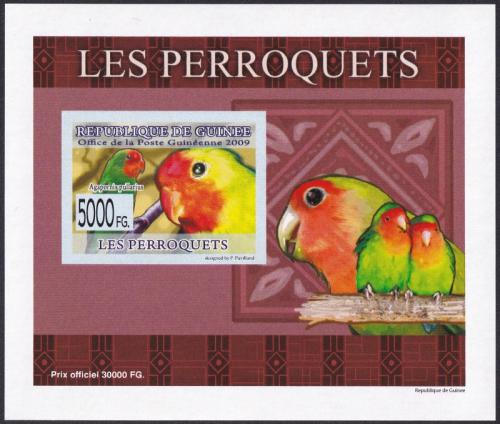 Potovn znmka Guinea 2007 Papouci DELUXE neperf. Mi# 6433 B Block