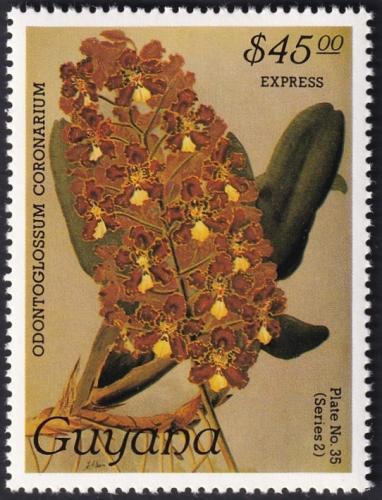 Potovn znmka Guyana 1987 Orchidej RARITA Mi# 1929 Kat 28