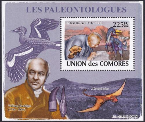 Potovn znmka Komory 2009 Paleontologov a dinosaui DELUXE Mi# 1962 Block