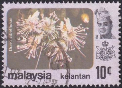 Potovn znmka Malajsie Kelantan 1979 Durian cibetkov Mi# 107