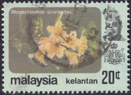 Potovn znmka Malajsie Kelantan 1979 Rhododendron scortechinii Mi# 109