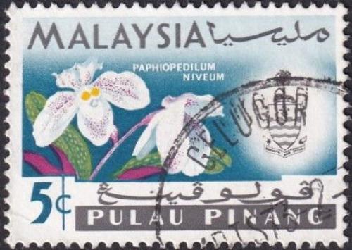 Potovn znmka Malajsie Pulau Pinang 1965 Orchidej, Paphiopedilum niveum Mi# 68