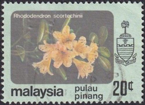 Potovn znmka Malajsie Pulau Pinang 1979 Rhododendron scortechinii 1A Mi# 85