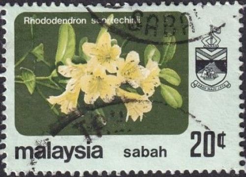 Potovn znmka Malajsie Sabah 1979 Rhododendron scortechinii Mi# 36