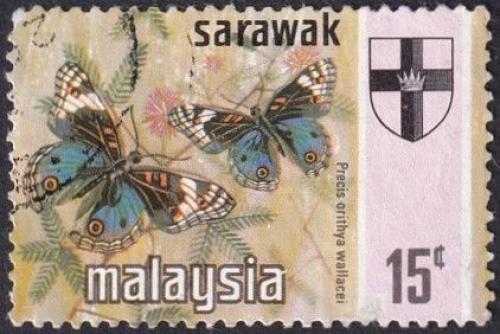 Potovn znmka Malajsie Sarawak 1971 Precis orithya wallacei Mi# 224