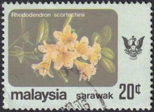 Potovn znmka Malajsie Sarawak 1979 Rhododendron scortechinii Mi# 237