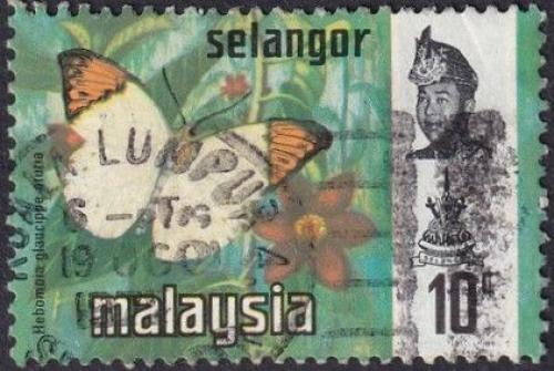 Potovn znmka Malajsie Selangor 1971 Hebomoia glaucippe aturia Mi# 109