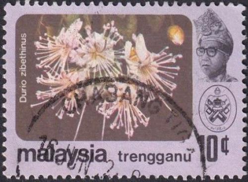 Potovn znmka Malajsie Trengganu 1979 Durian cibetkov Mi# 107