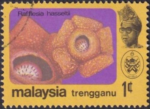 Potovn znmka Malajsie Trengganu 1979 Rafflesia hasseltii Mi# 104