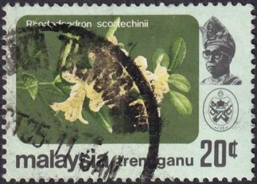 Potovn znmka Malajsie Trengganu 1979 Rhododendron scortechinii Mi# 109