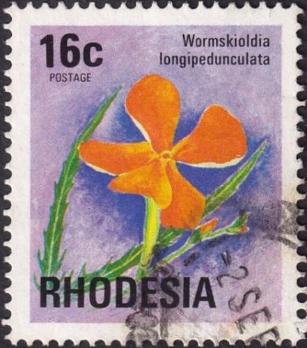 Potovn znmka Rhodsie, Zimbabwe 1976 Wormskioldia longipedunculata Mi# 178