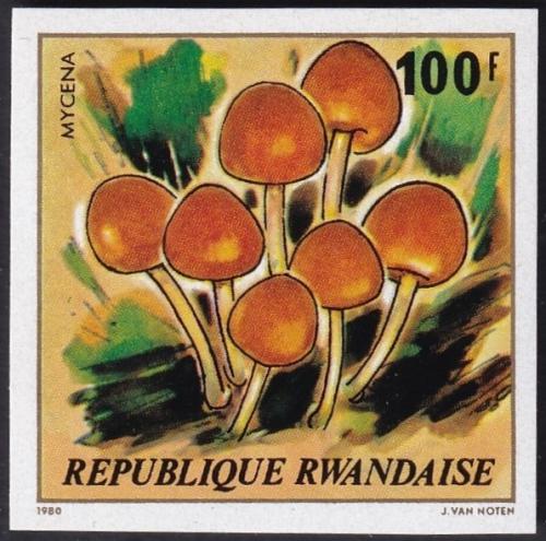 Potovn znmka Rwanda 1980 Houby neperf. Mi# 1058 B Kat 32