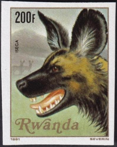 Potovn znmka Rwanda 1981 Loveck pes neperf. Mi# 1126 B Kat 29