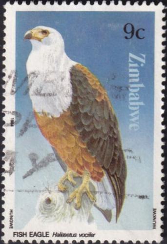 Potovn znmka Zimbabwe 1984 Orel jasnohlas Mi# 297