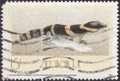 Potovn znmka Zimbabwe 1989 Pachydactylus capensis Mi# 396