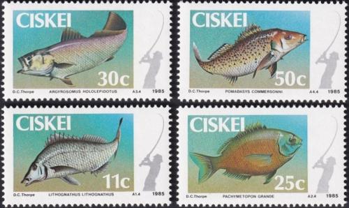 Potovn znmky Ciskei, JAR 1985 Ryby Mi# 70-73