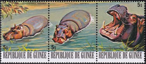 Potovn znmky Guinea 1977 Hroch obojiveln Mi# 808-10 Kat 4.80