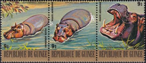 Potovn znmky Guinea 1977 Hroch obojiveln Mi# 817-19 Kat 6.30