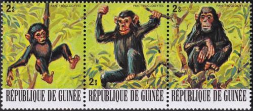 Potovn znmky Guinea 1977 impanz uenliv Mi# 796-98