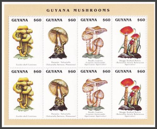 Potovn znmky Guyana 1996 Houby Mi# 5534-37 Bogen Kat 14