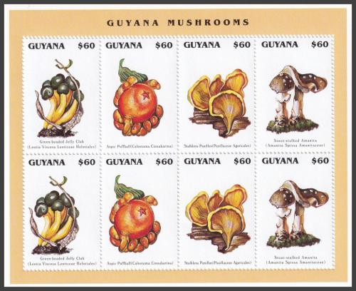 Potovn znmky Guyana 1996 Houby Mi# 5542-45 Bogen Kat 14