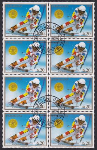 Potovn znmky Paraguay 1988 Franck Piccard, blok Mi# 4264 